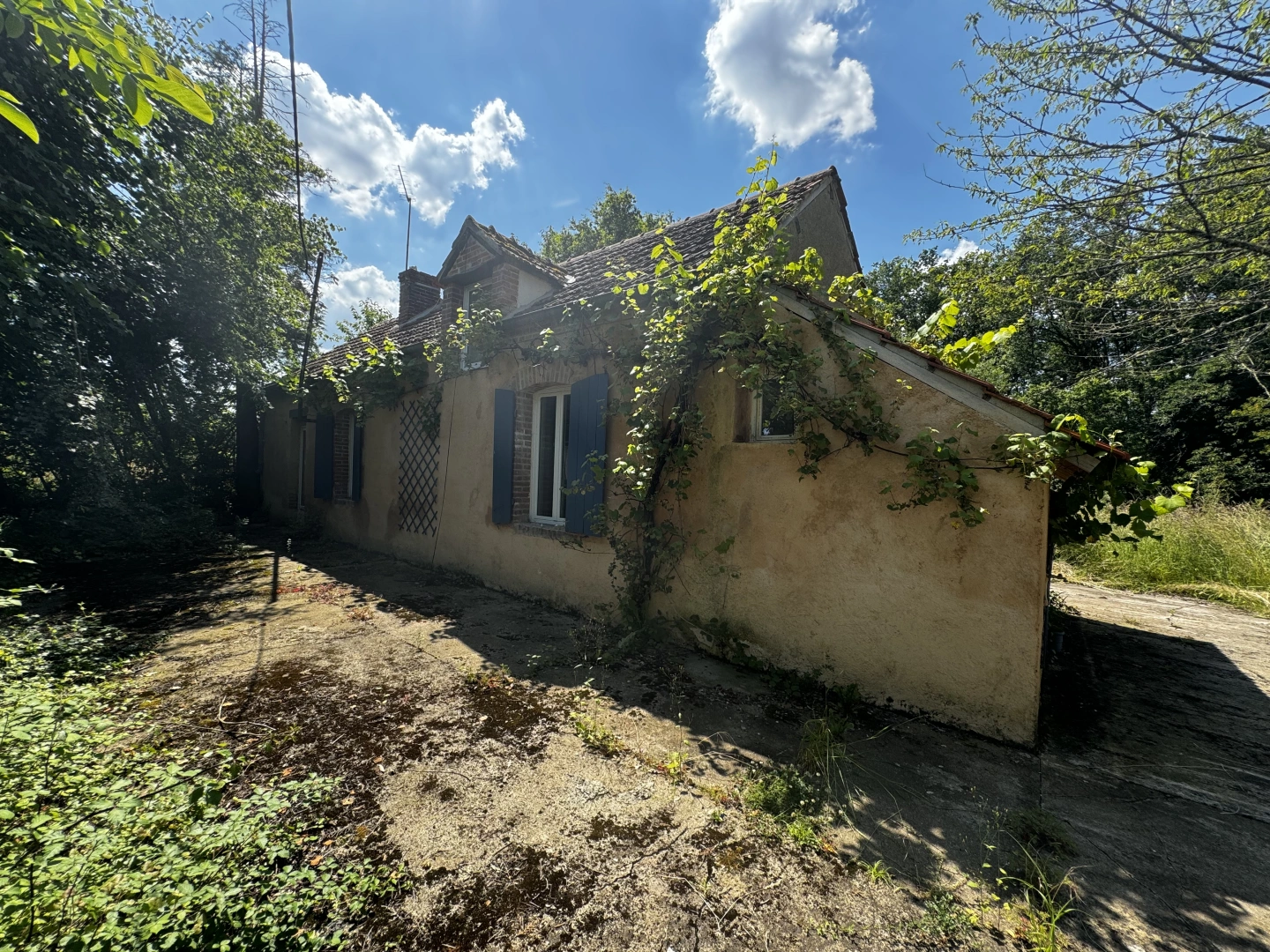 property